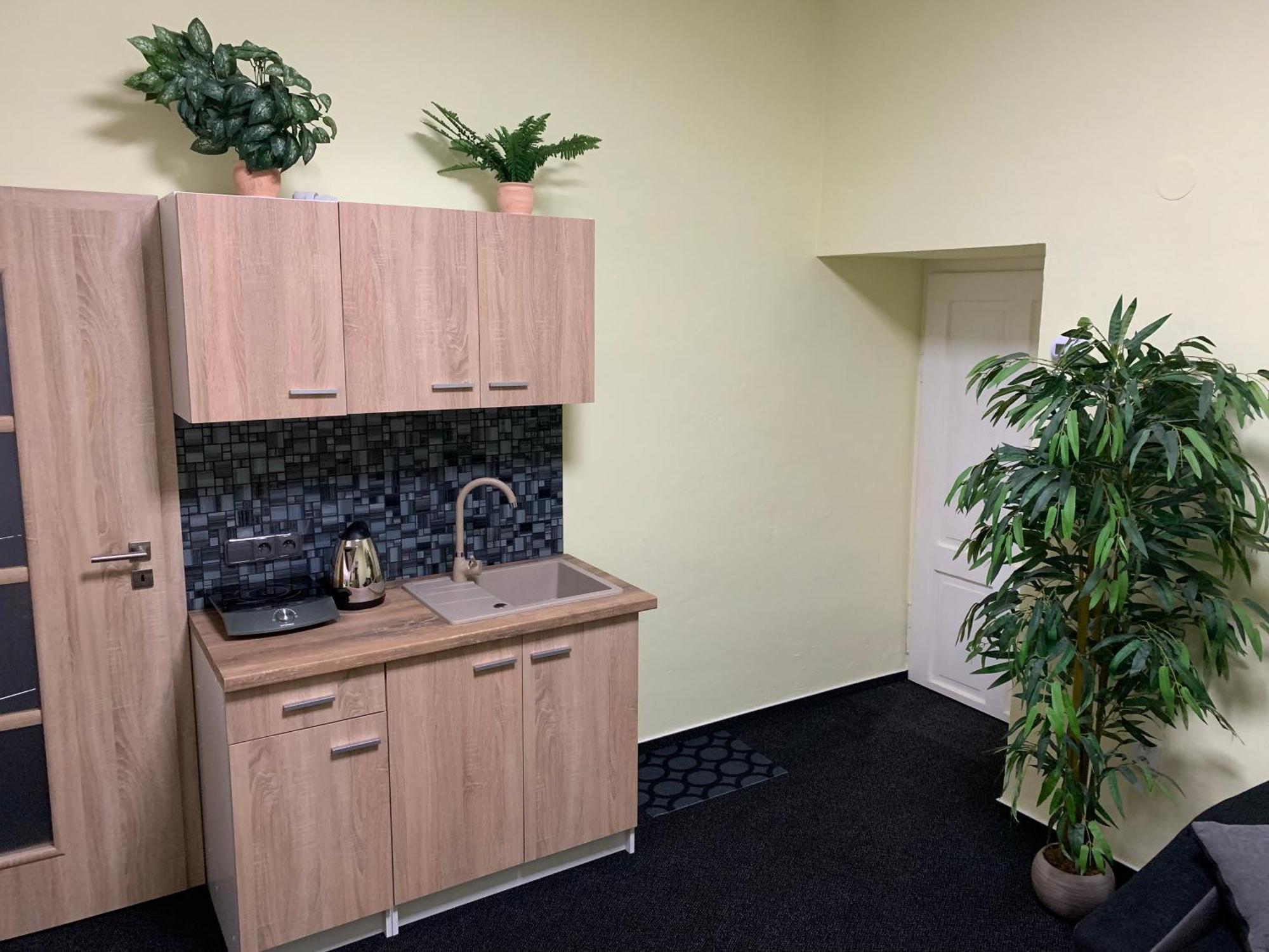 Apartman Alesta Bruntál Buitenkant foto